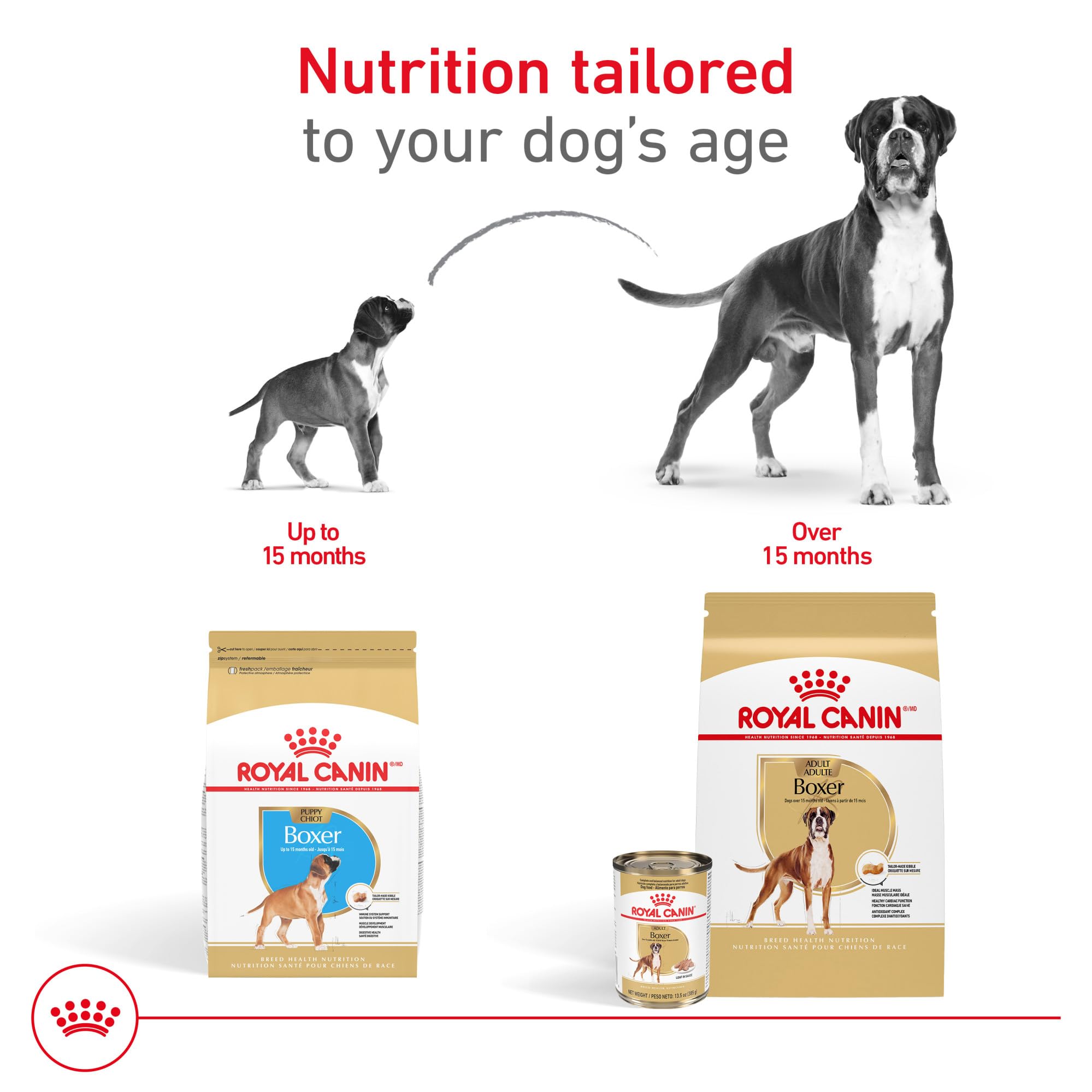 Royal Canin Boxer Puppy easy-chew kibble design enhances mealtime confidence.