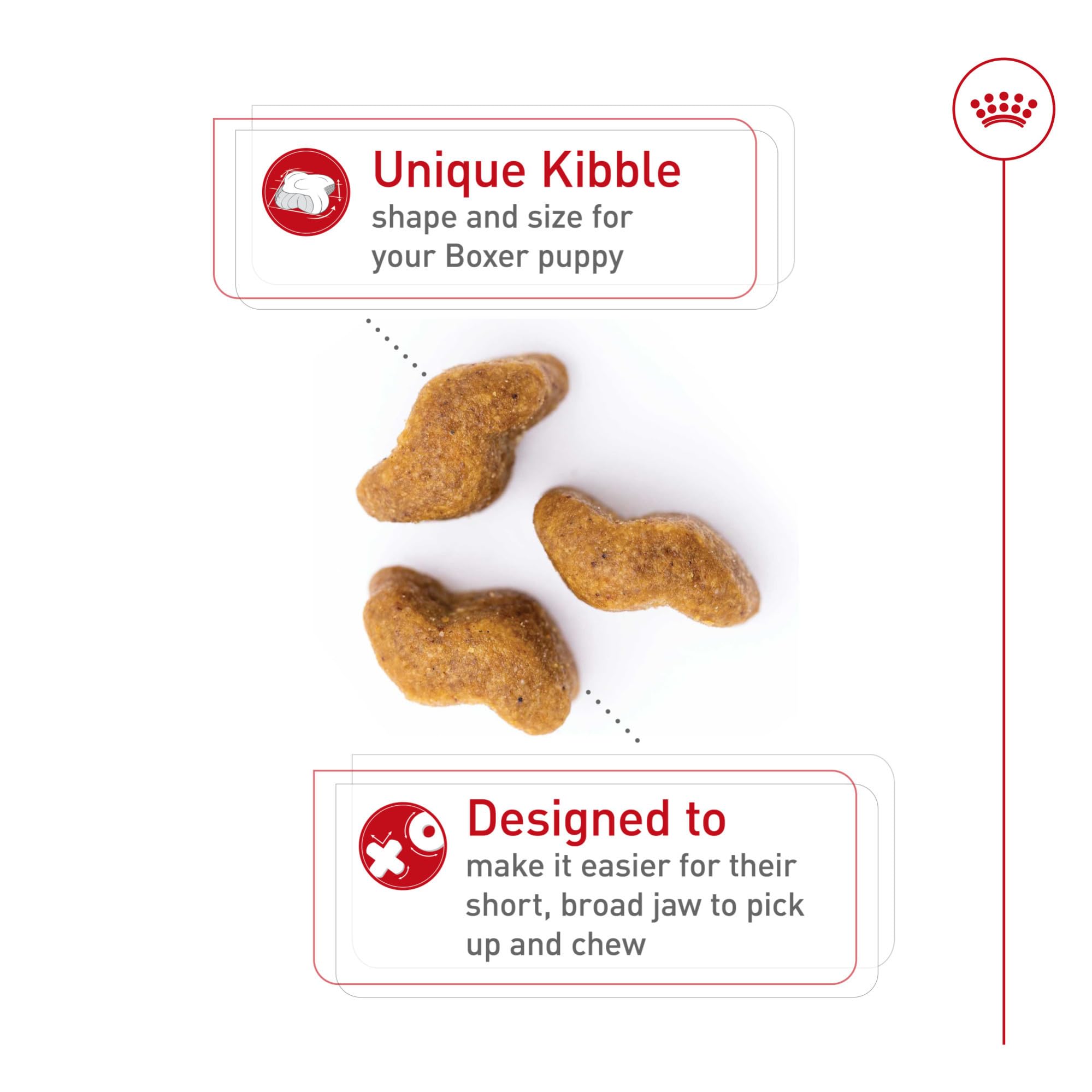 Royal Canin Boxer Puppy antioxidant blend supports healthy immune development.