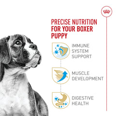 Royal Canin Boxer Puppy LCarnitine-enhanced formula for lean muscle support.