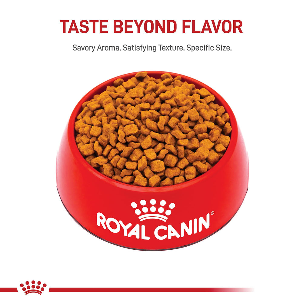Royal Canin Boxer Puppy highlights transition guidance to adult nutrition.