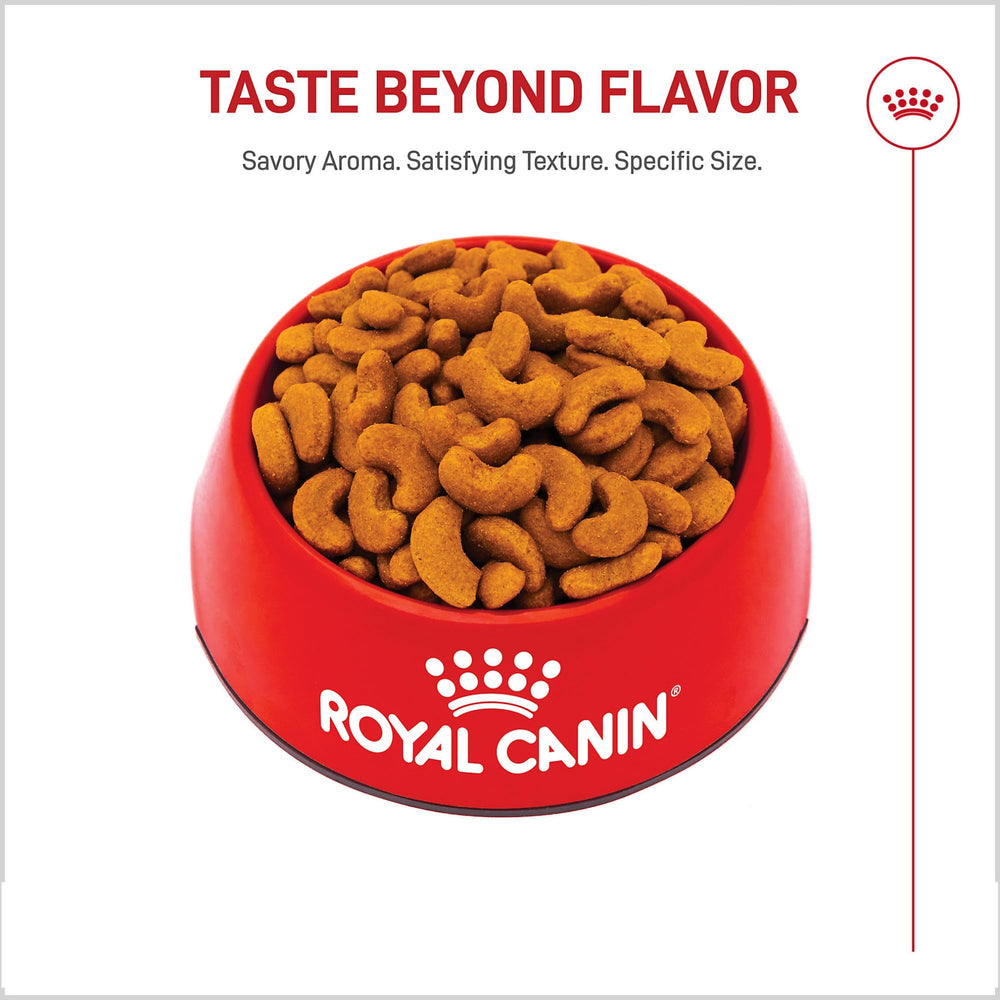 Royal Canin digestive health focus with high-quality proteins and fiber