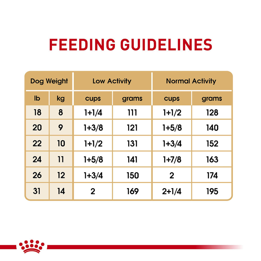Perfect for daily meals ready-to-serve dry food for French Bulldogs