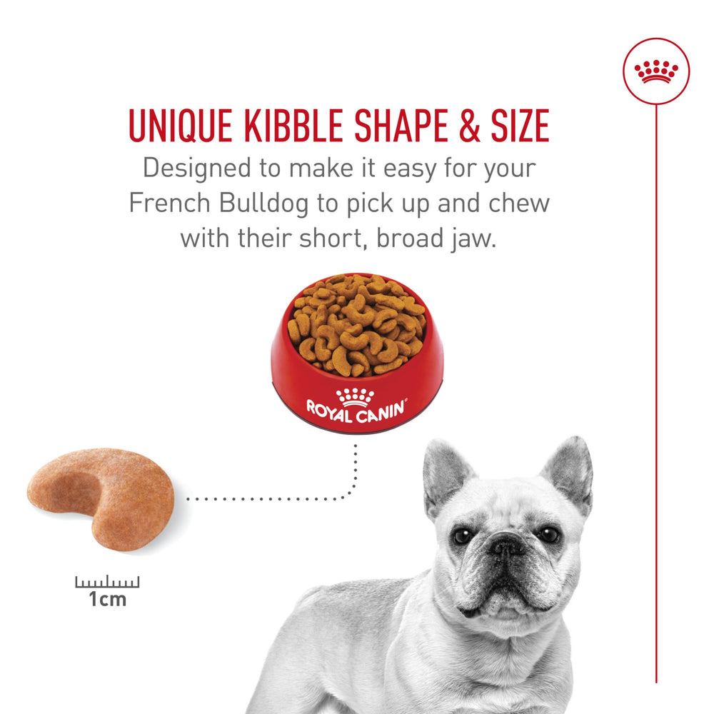 Royal Canin serving bowl scene shows easy portioning for French Bulldog meals