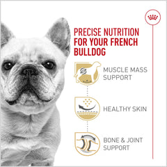 Royal Canin French Bulldog dry kibble served in a bowl to support digestion.
