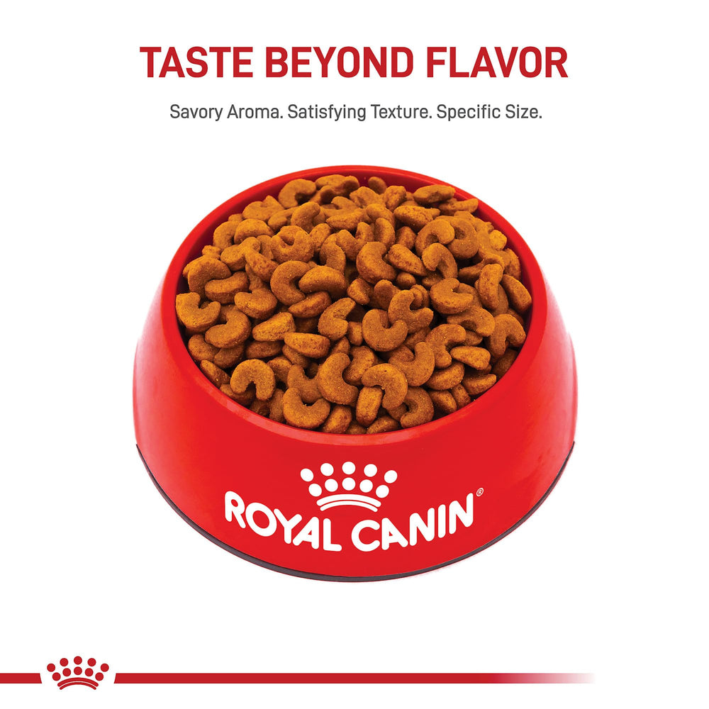 Royal Canin French Bulldog Puppy immune-support kibble promotes healthy development through antioxidants