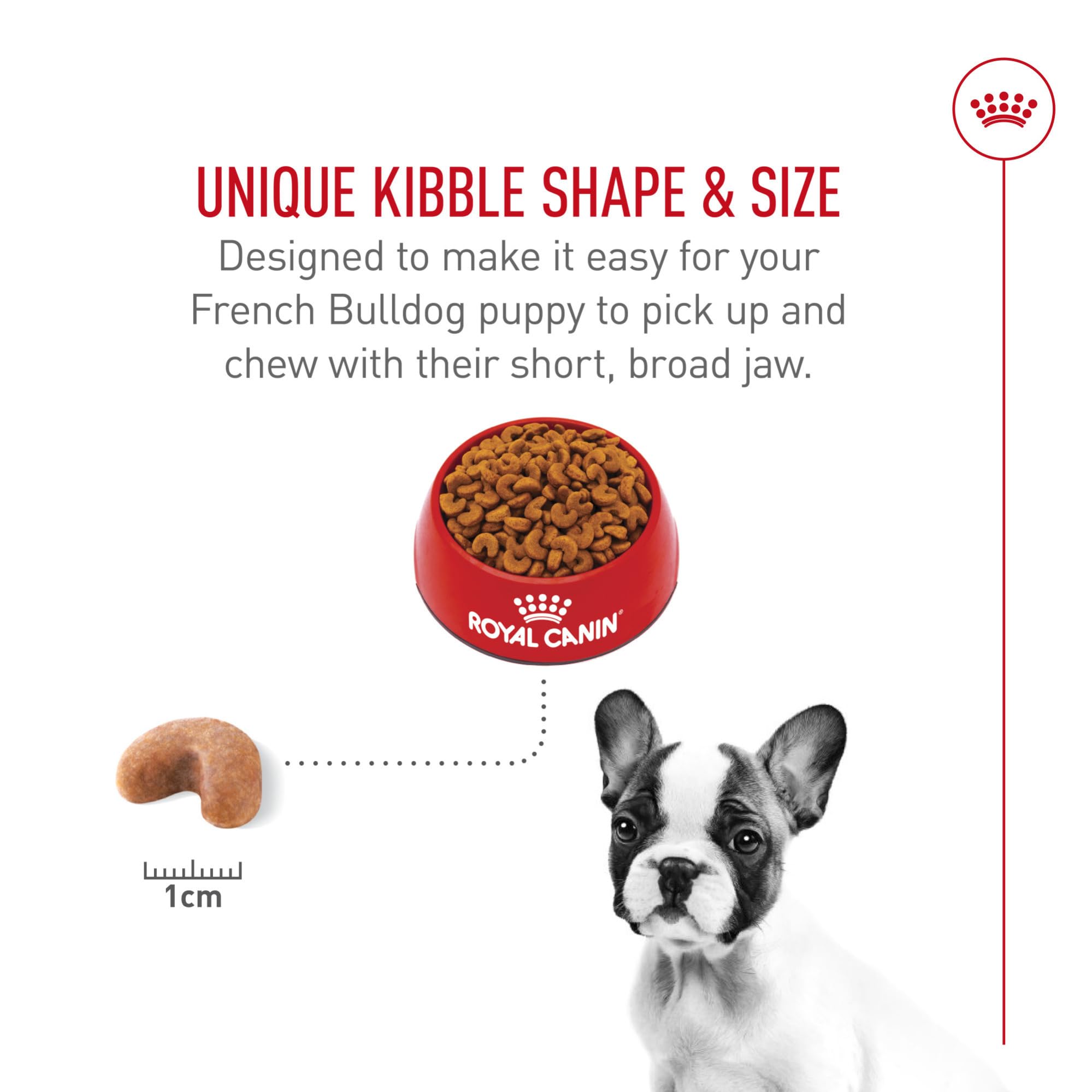 Royal Canin French Bulldog Puppy short muzzle kibble designed for easy chewing