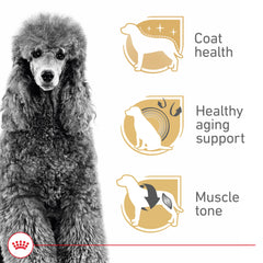 Royal Canin Breed Health Poodle Adult kibble texture designed for straight muzzles.