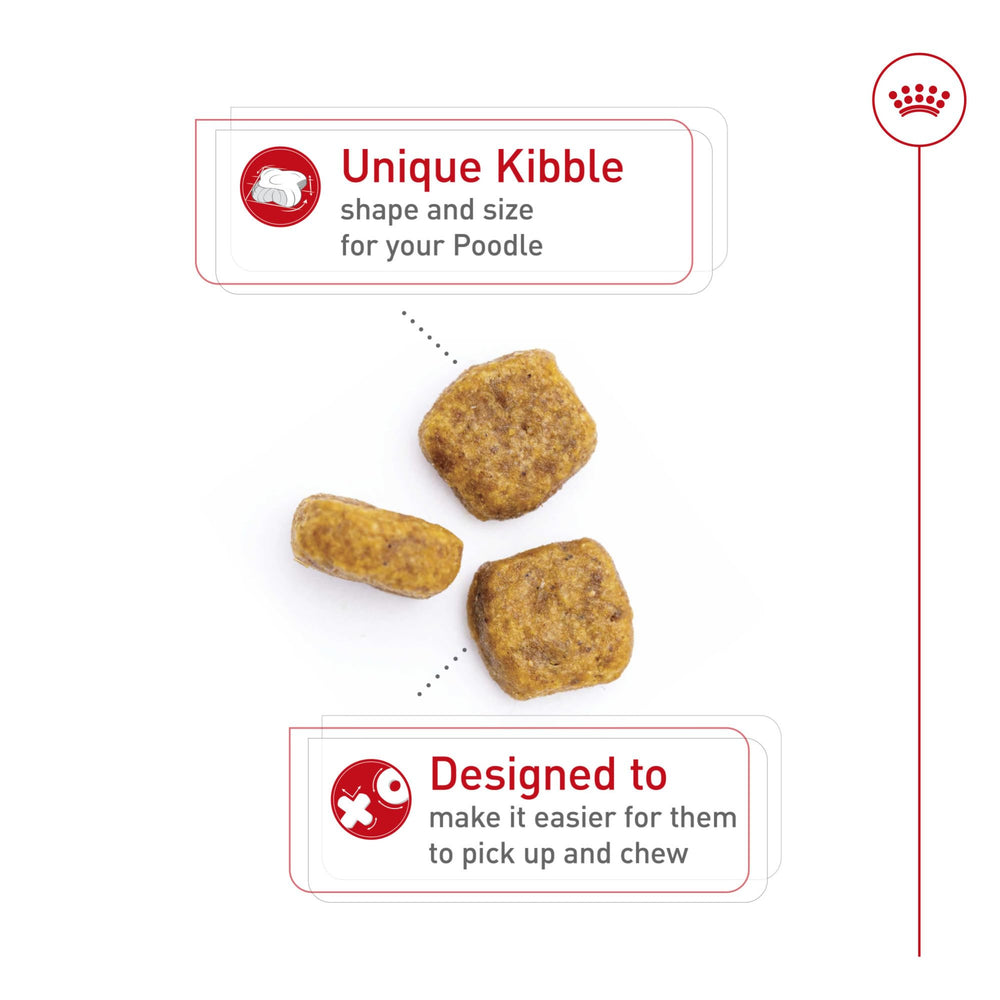 Royal Canin Breed Health Poodle adult kibble close-up, designed for straight muzzle.