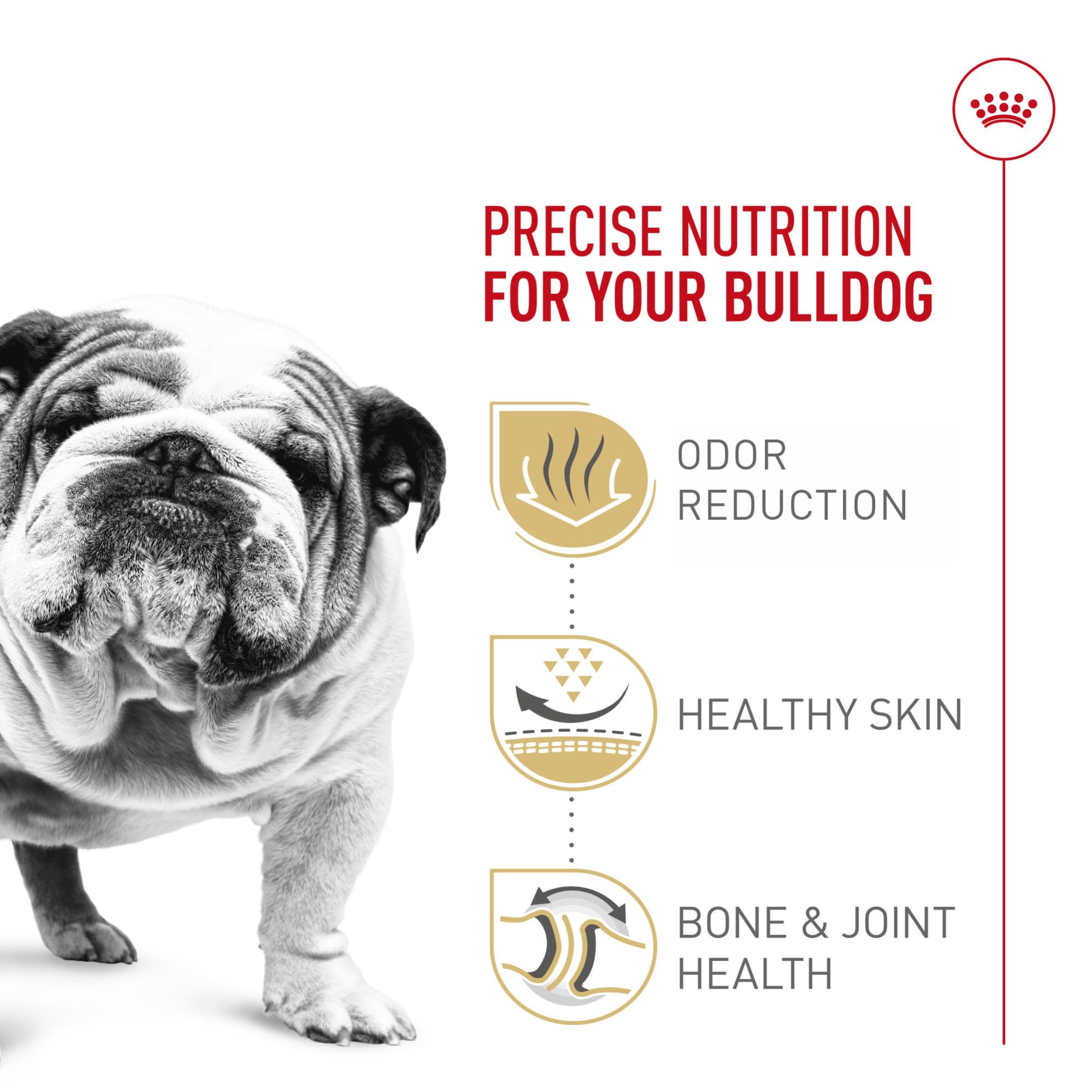 Royal Canin Bulldog Adult kibble close-up designed for Bulldog jaw