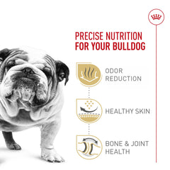 Royal Canin Bulldog Adult kibble close-up designed for Bulldog jaw