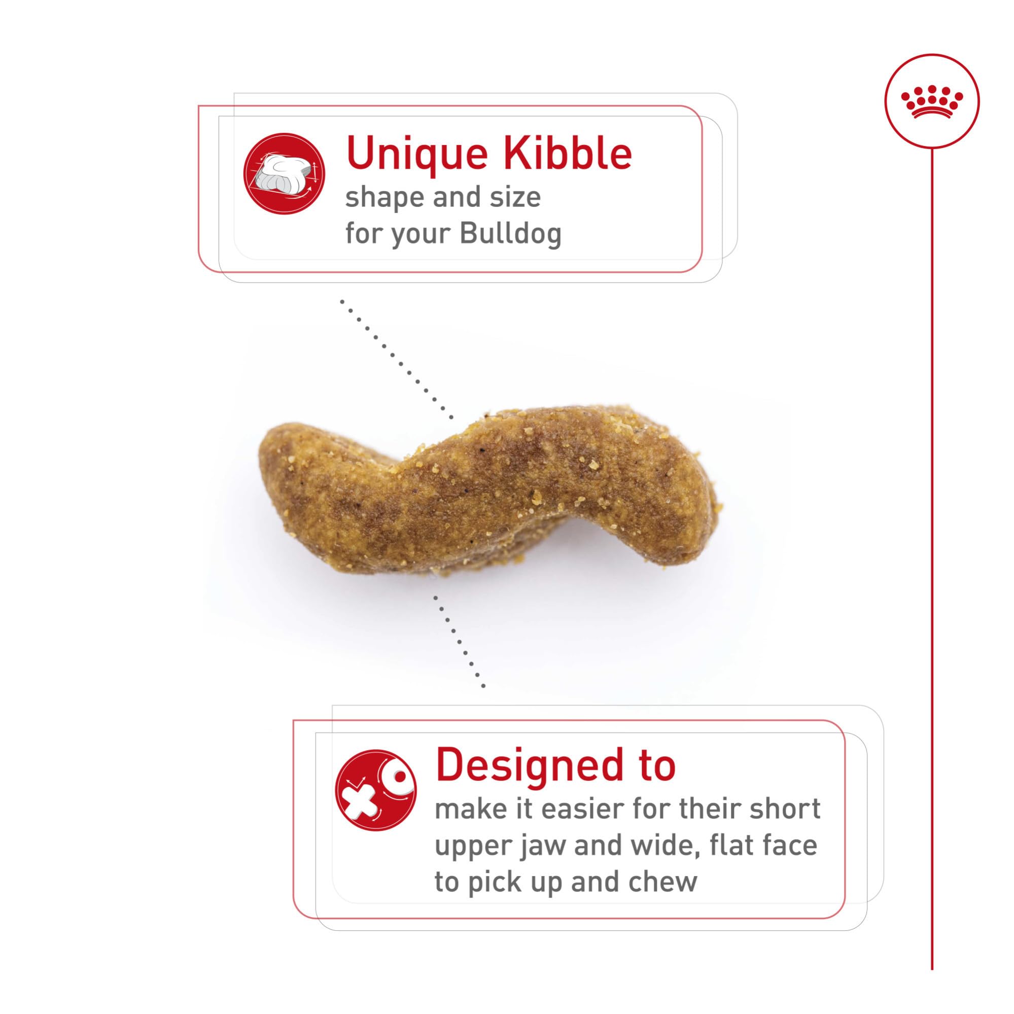 Royal Canin Bulldog Adult specialized kibble close-up aids easy picking up and chewing