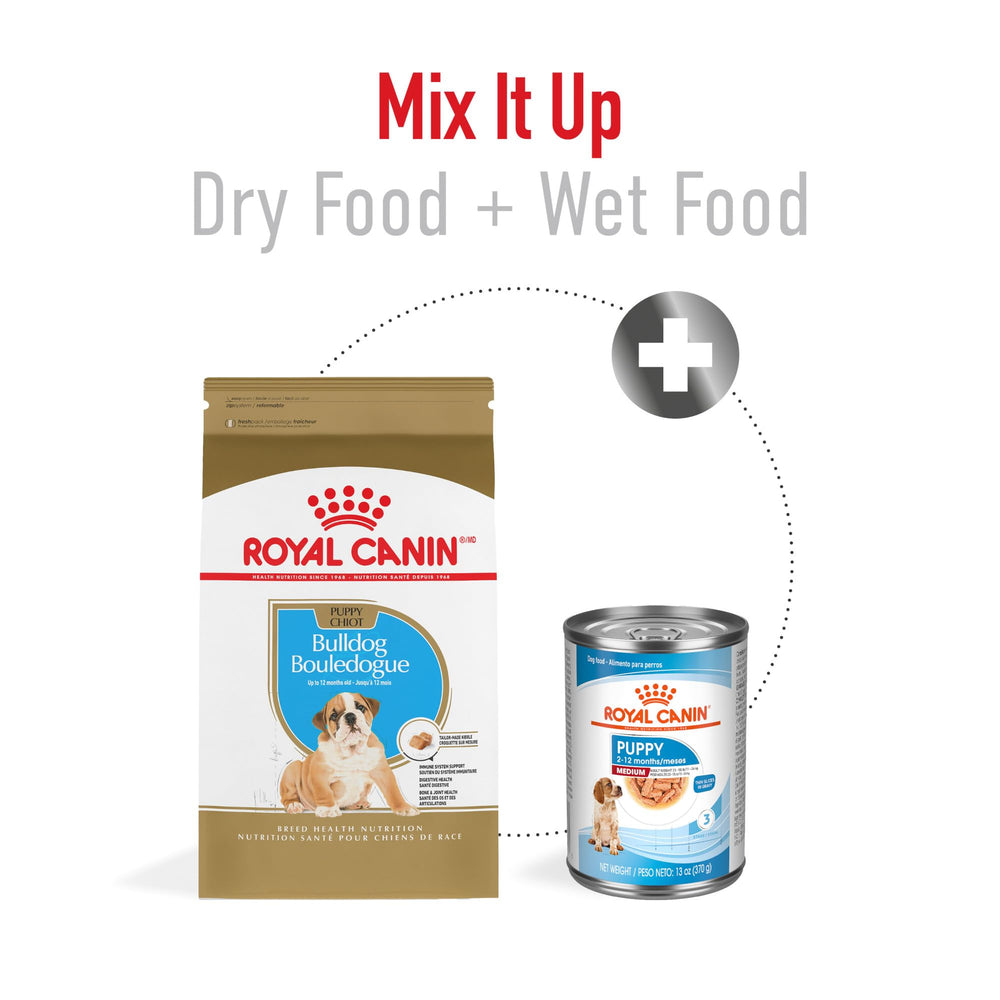 Royal Canin Bulldog Puppy bowl with kibble ready for daily meals