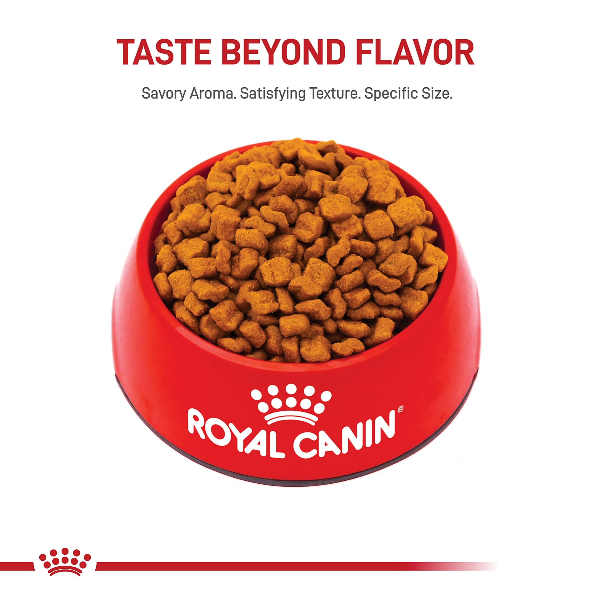 Royal Canin Bulldog Puppy kibble close-up highlighting prebiotics for digestion