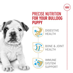 Royal Canin Bulldog Puppy bowl with kibble promoting healthy immune development