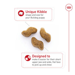 Royal Canin Bulldog Puppy kibble closeup emphasizes texture for digestion support
