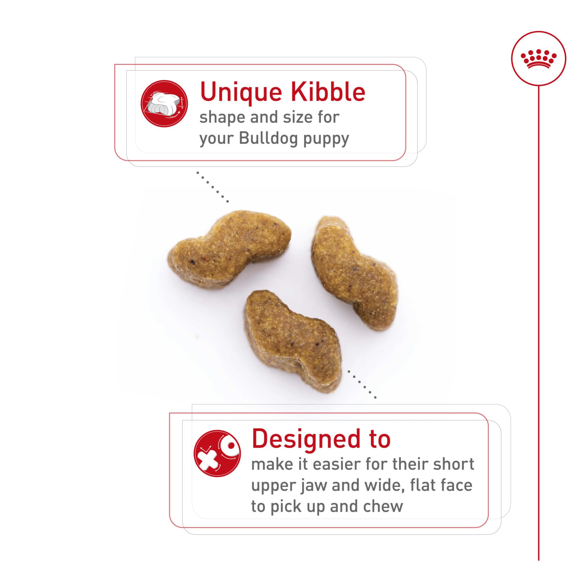Royal Canin Bulldog Puppy kibble shape designed for easy pickup and chewing