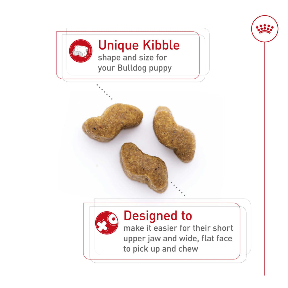 Royal Canin Bulldog Puppy kibble shape designed for easy pickup and chewing