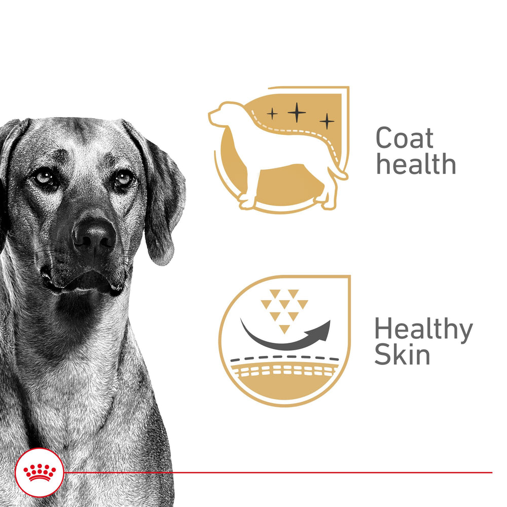ROYAL CANIN Canine Health Nutrition Adult in Gel label closeup; premium ingredients highlighted for dog owners.