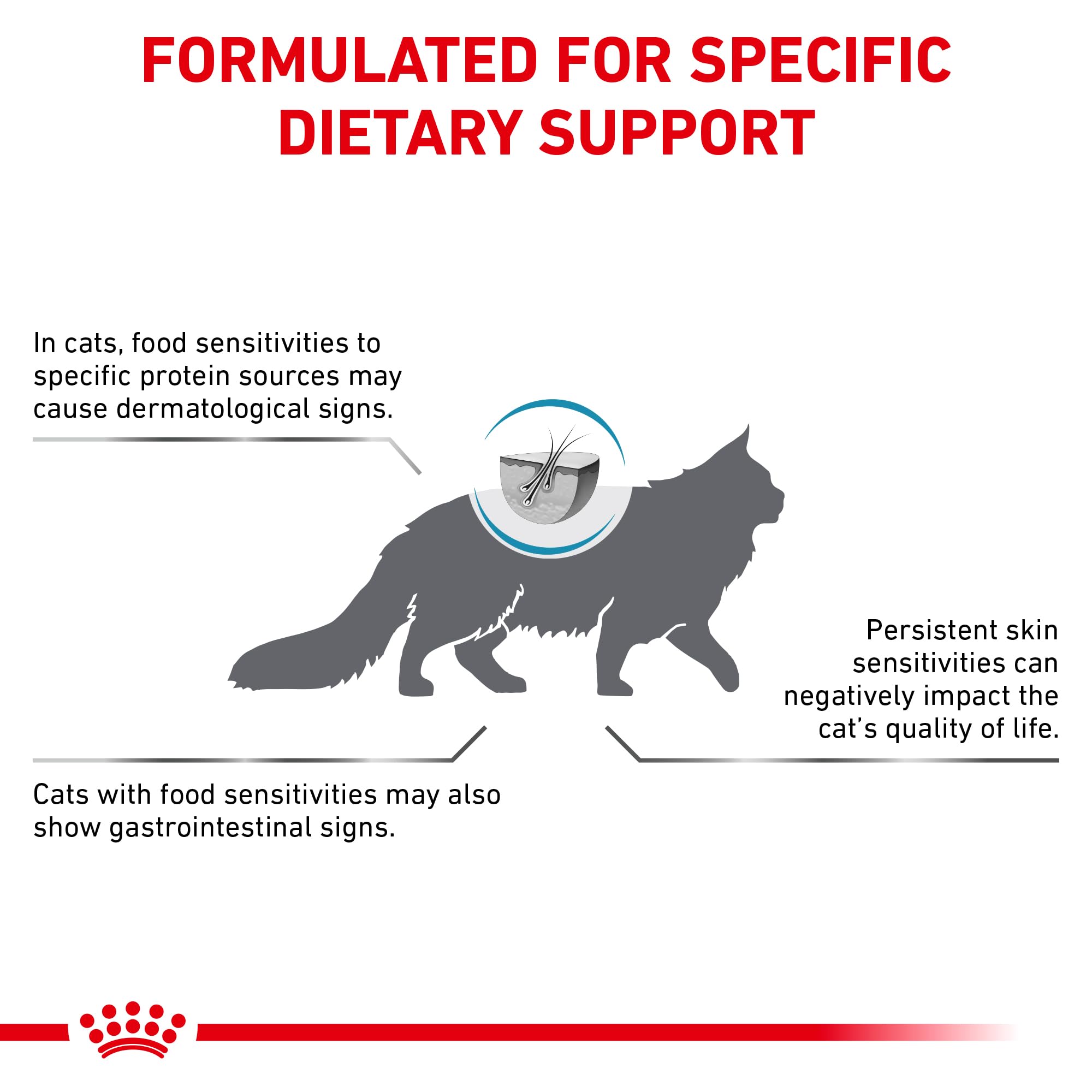 Royal Canin cat enjoying hydrolyzed diet at mealtime.