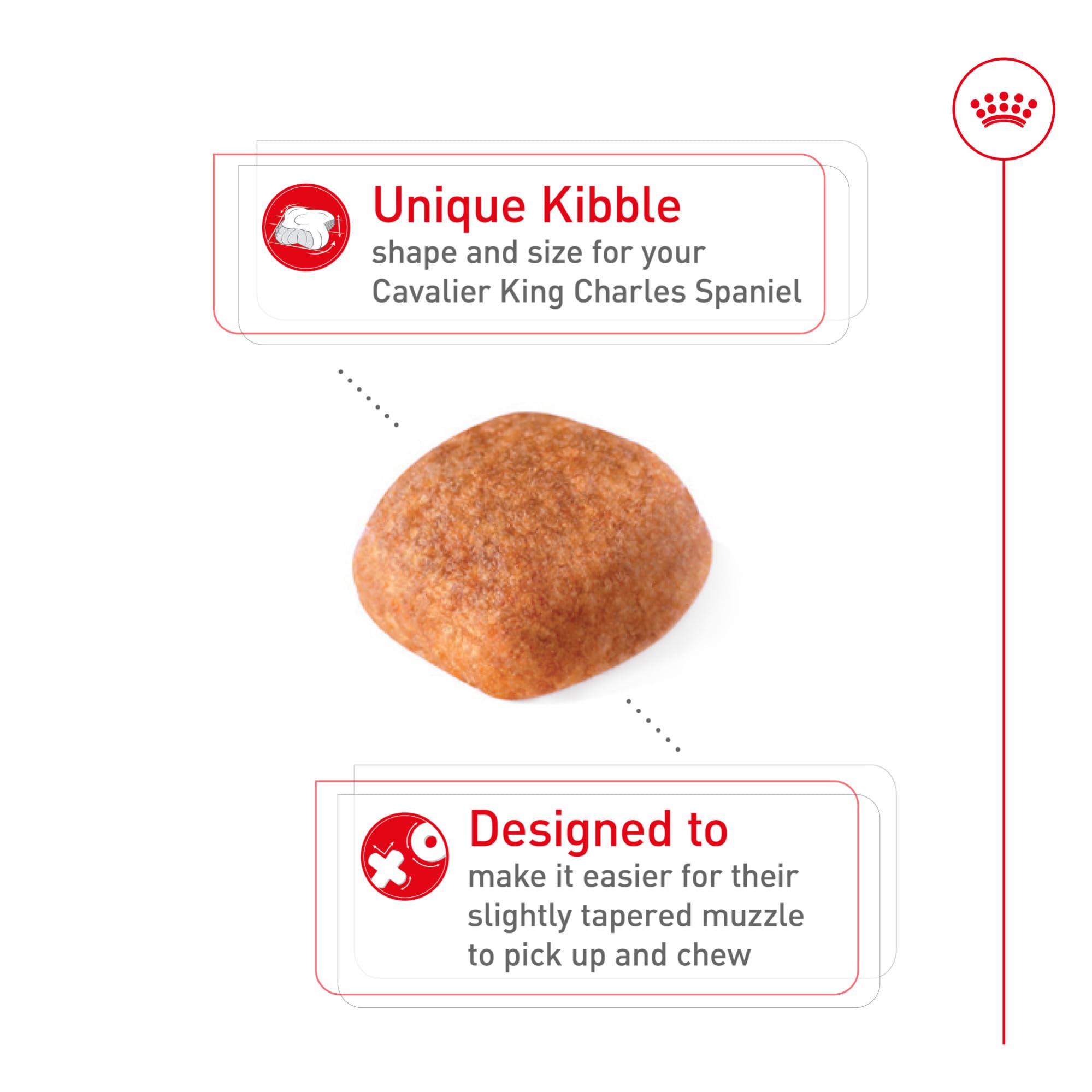 Royal Canin Cavalier King Charles Spaniel bag back with nutrition label and guidelines.