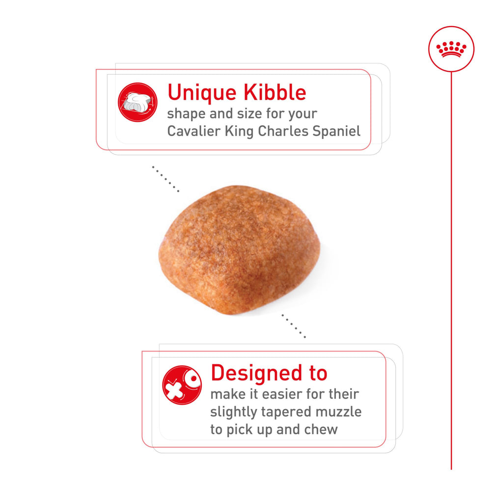 Royal Canin Cavalier King Charles Spaniel bag back with nutrition label and guidelines.