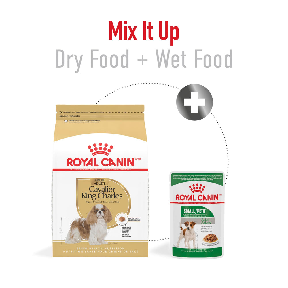Royal Canin Cavalier coat health nutrients support a silky coat and healthy skin.