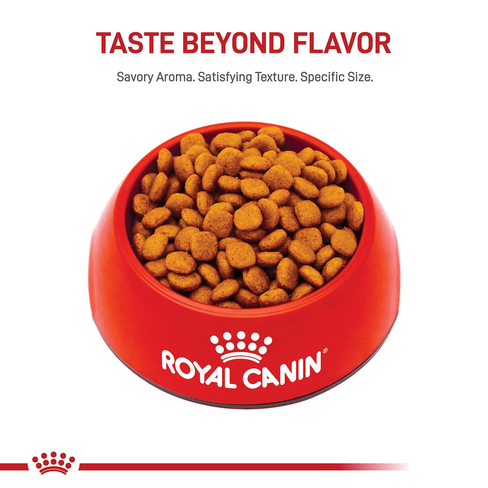 Royal Canin Cavalier adult formula tailored for purebred Cavaliers aged ten months plus.