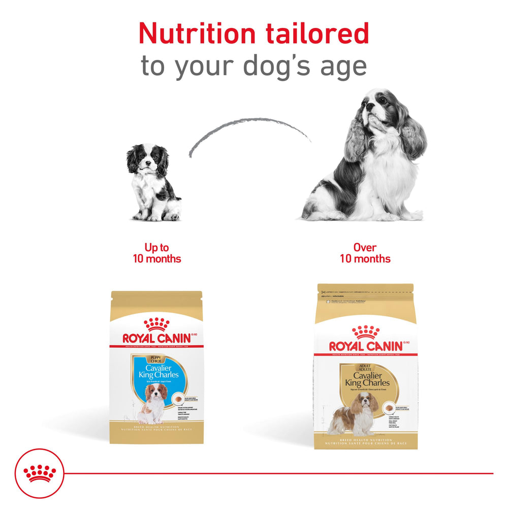 Royal Canin Cavalier nutrients taurine and EPA/DHA for heart and coat care.