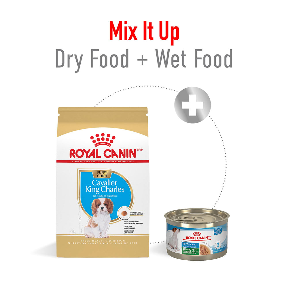 Royal Canin Cavalier puppy antioxidants and vitamin E for developing defenses
