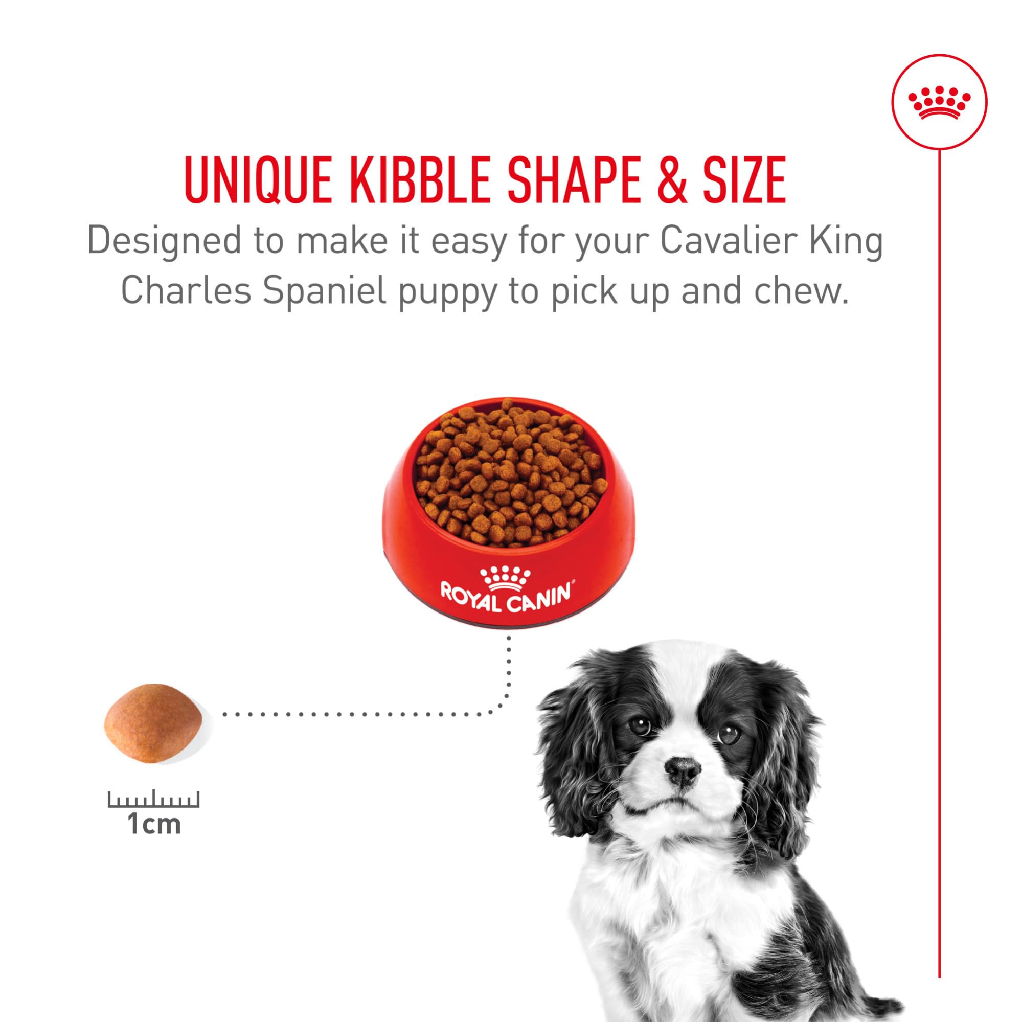 Royal Canin Cavalier puppy digestion support with prebiotics
