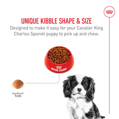 Royal Canin Cavalier puppy digestion support with prebiotics