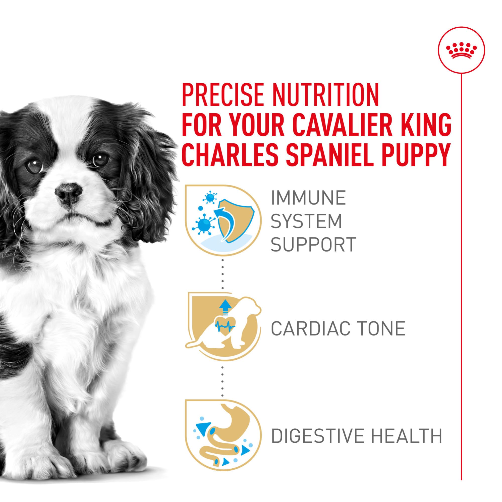 Royal Canin Cavalier puppy heart health nutrients including taurine and EPA/DHA