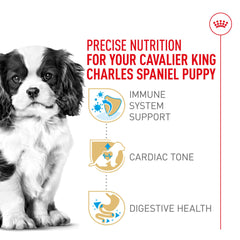 Royal Canin Cavalier puppy heart health nutrients including taurine and EPA/DHA