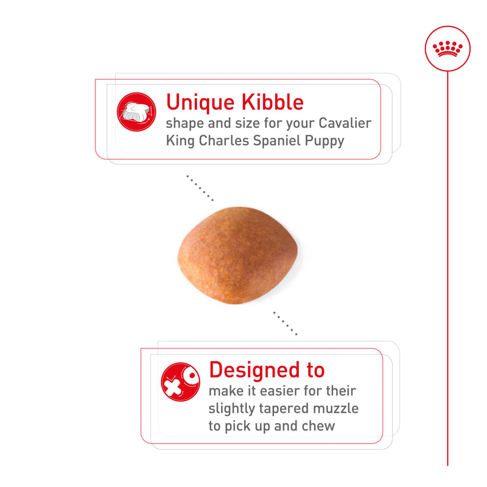 Royal Canin Cavalier puppy with antioxidants supports immune development