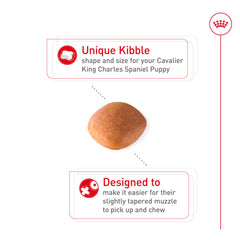 Royal Canin Cavalier puppy with antioxidants supports immune development
