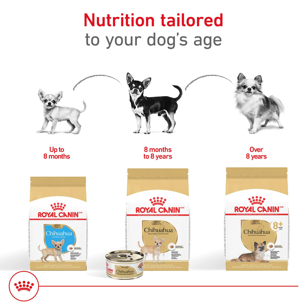 Royal Canin Chihuahua Adult 8+ heart health nutrients promote steady cardiovascular support