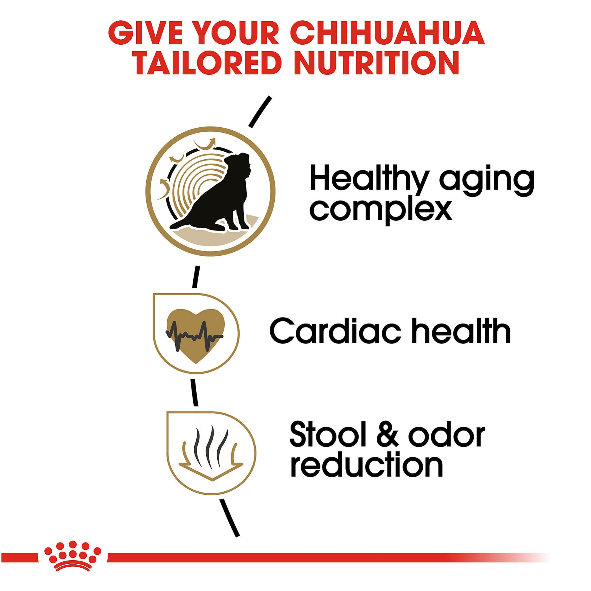 Royal Canin Chihuahua Adult 8+ served in a small-breed bowl for easy feeding