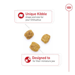 Royal Canin Chihuahua Adult dry food serving bowl displays palatable aroma and manageable portions.