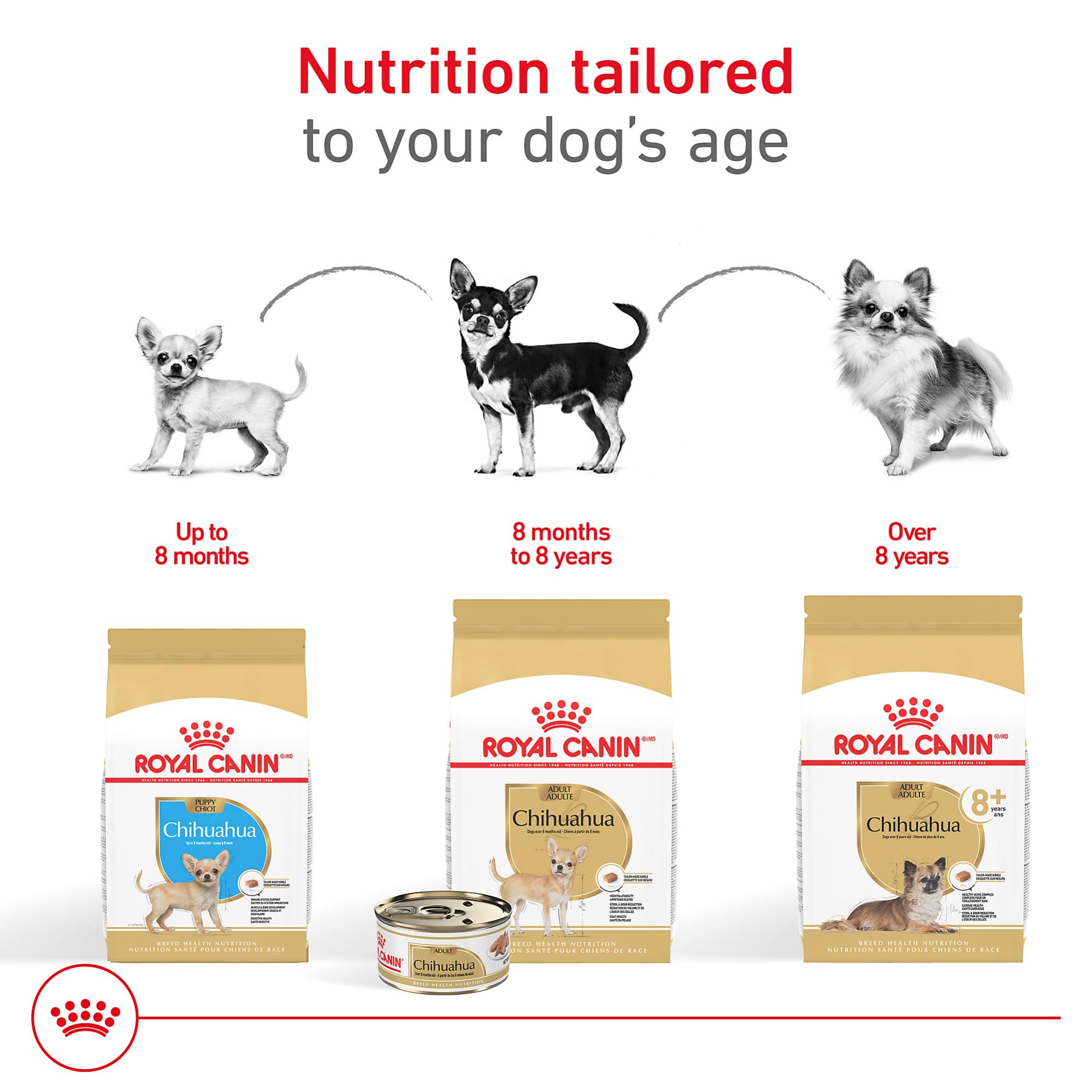 Royal Canin Chihuahua Adult small-breed digestible proteins support comfortable digestion.