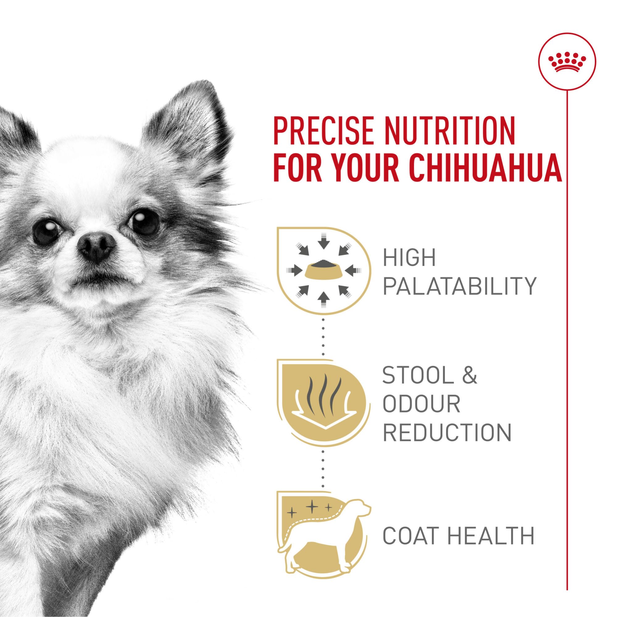 Royal Canin Chihuahua Adult dry food bag emphasizes breed-specific nutrition for tiny companions.