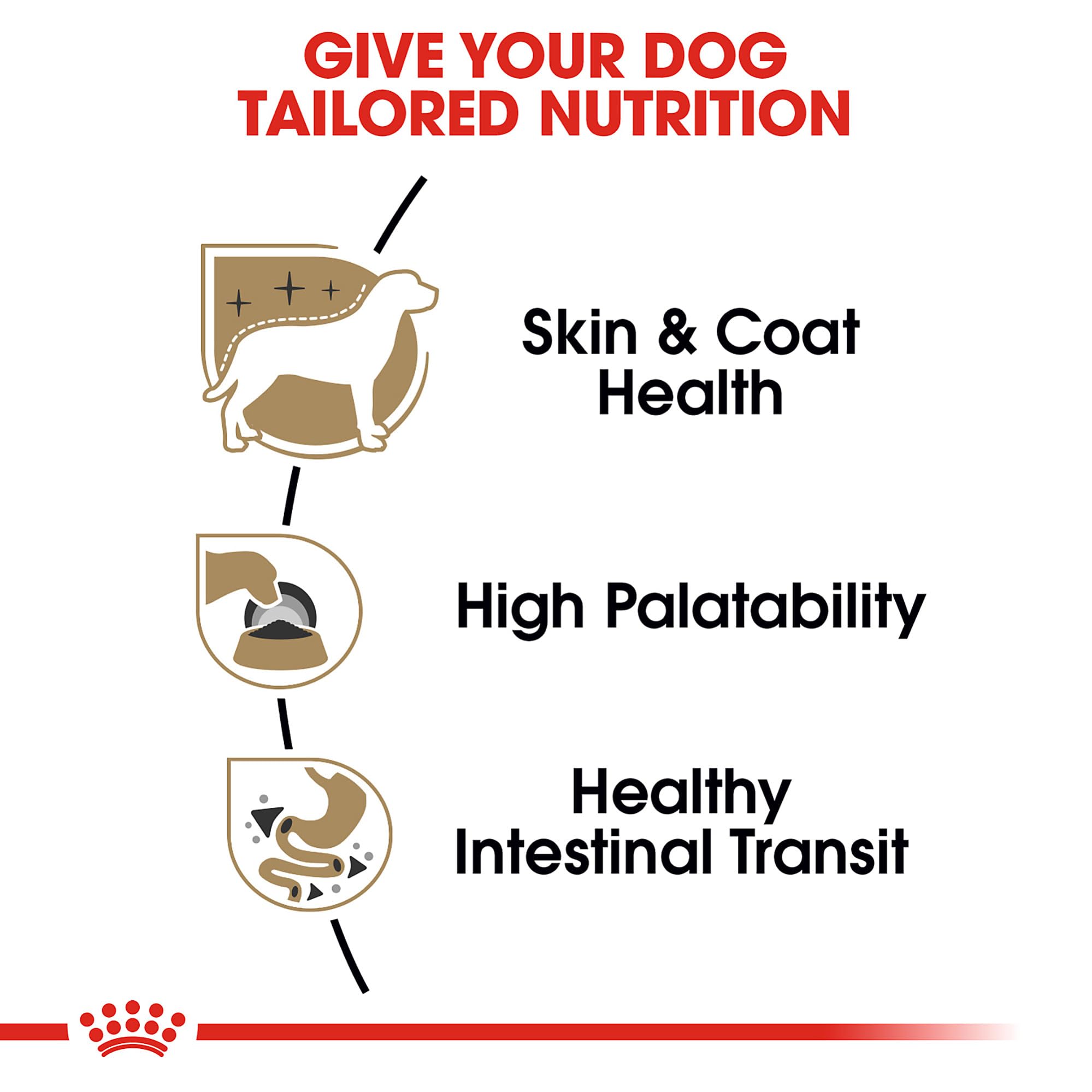 Royal Canin Chihuahua dietary fiber supports digestion
