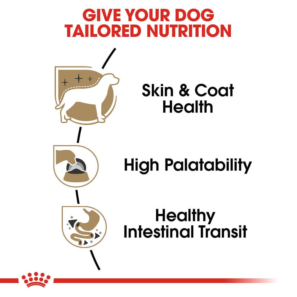 Royal Canin Chihuahua dietary fiber supports digestion