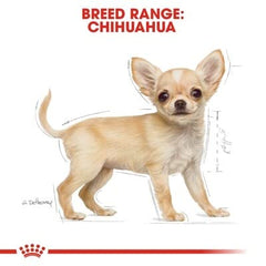 Royal Canin Chihuahua Puppy serving bowl with small kibble