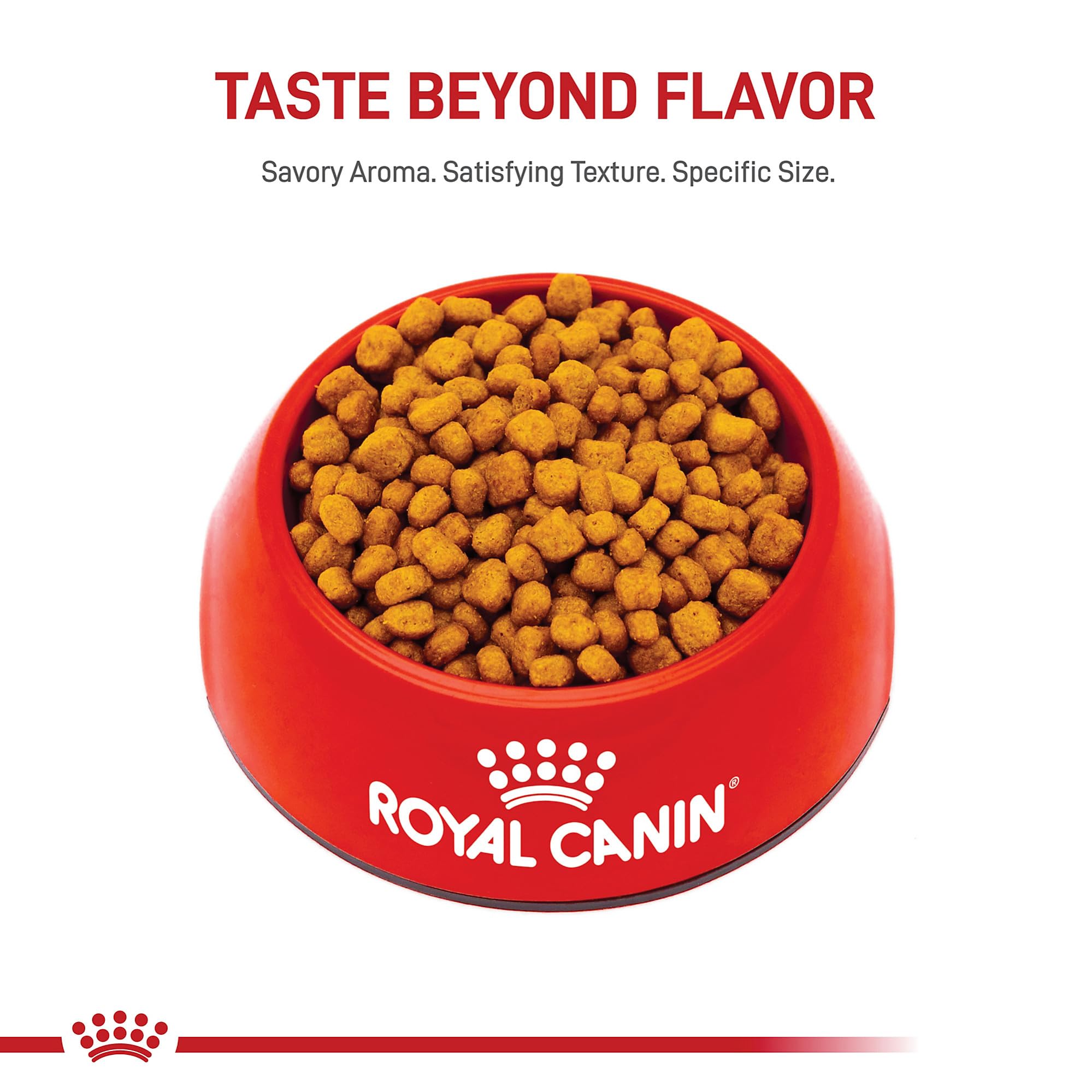 Royal Canin Chihuahua Wet Food pairing option for variety