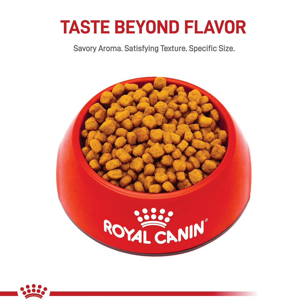 Royal Canin Chihuahua Wet Food pairing option for variety