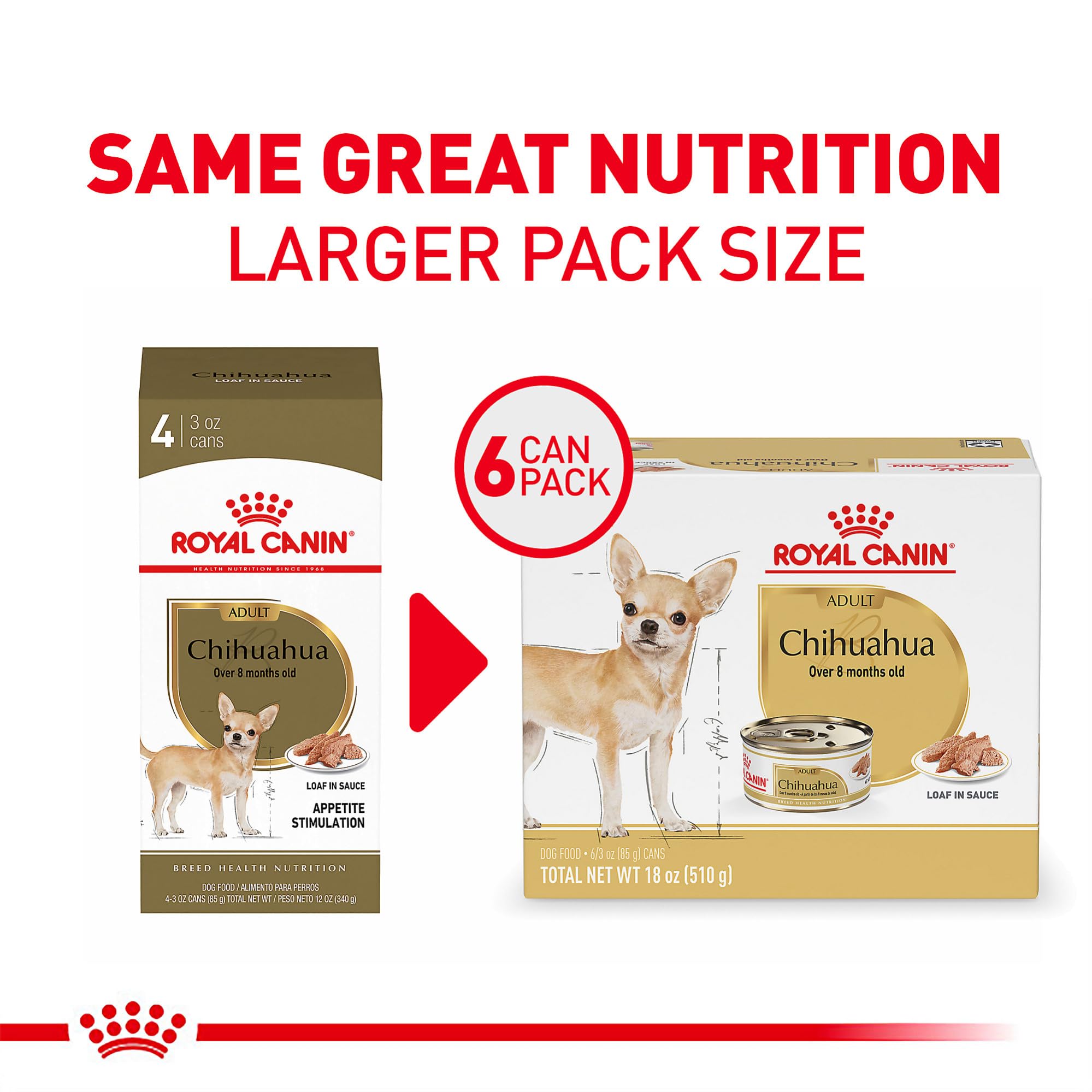 Royal Canin Chihuahua wet pate close-up highlighting palatability