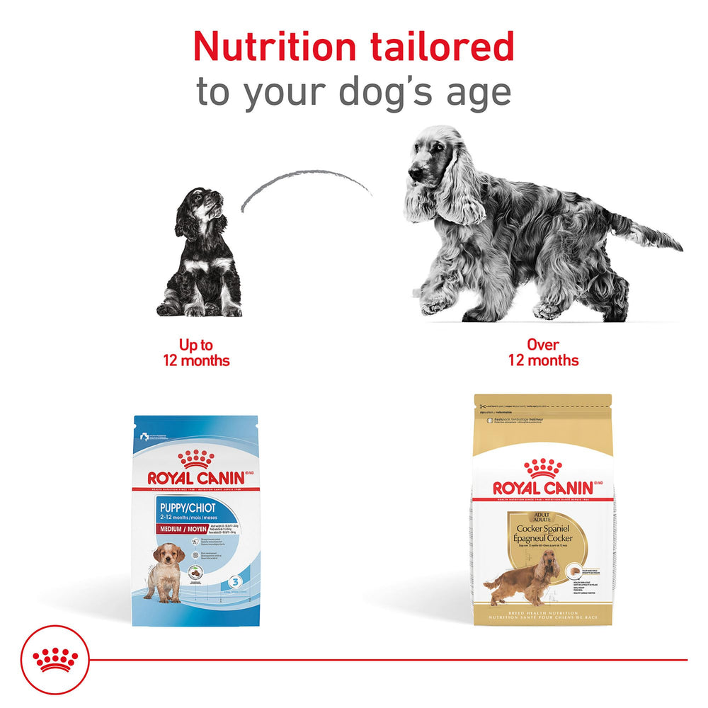 Royal Canin Cocker Spaniel Adult kibble designed for broad muzzles.