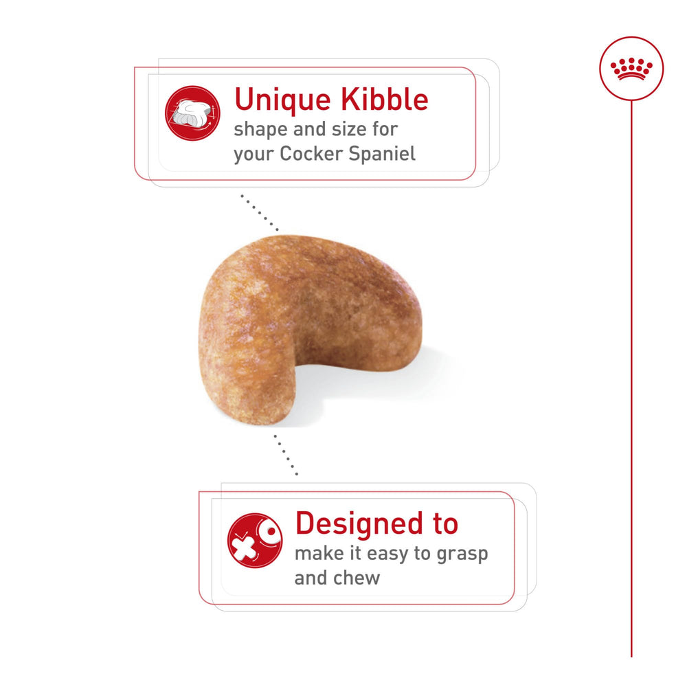 Royal Canin Cocker Spaniel Adult kibble design aids picking up and chewing.