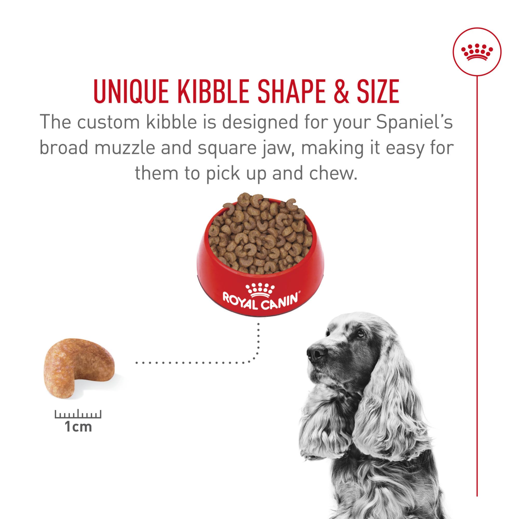 Royal Canin Cocker Spaniel heart symbol highlights taurine and fish-oil nutrients supporting heart health.