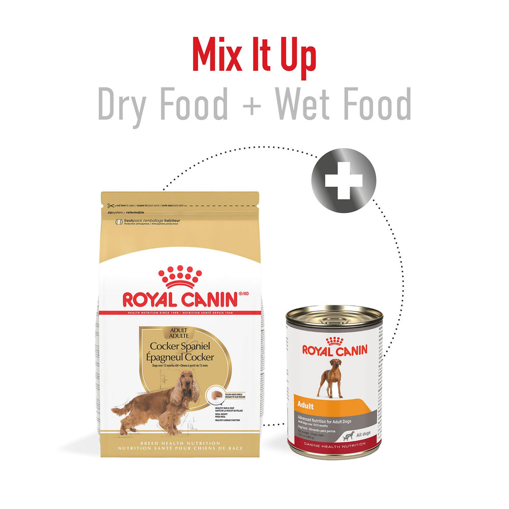 Royal Canin Cocker Spaniel skin and coat image emphasizes vitamin A and EPA/DHA for shine.
